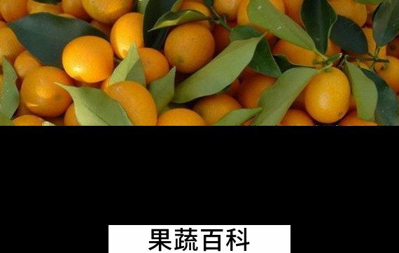 果蔬百科吃水果的禁忌