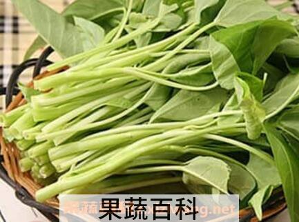 通心菜的功效与作用