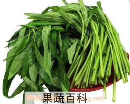 通心菜的功效与作用