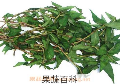 香柳菜的功效与作用