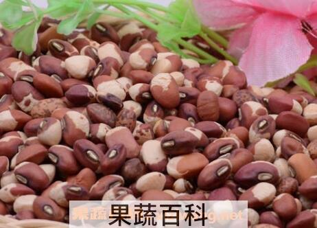  豇豆米的功效与作用