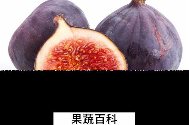 果蔬百科无花果的药用价值