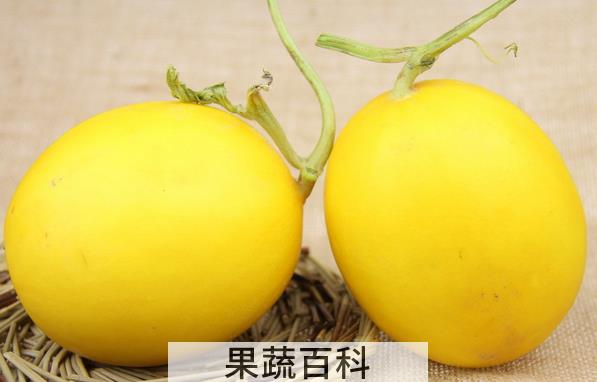 果蔬百科香瓜的食用禁忌