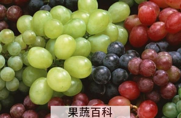 果蔬百科葡萄的食疗功效与用法