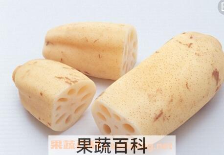 东方菜的功效与作用