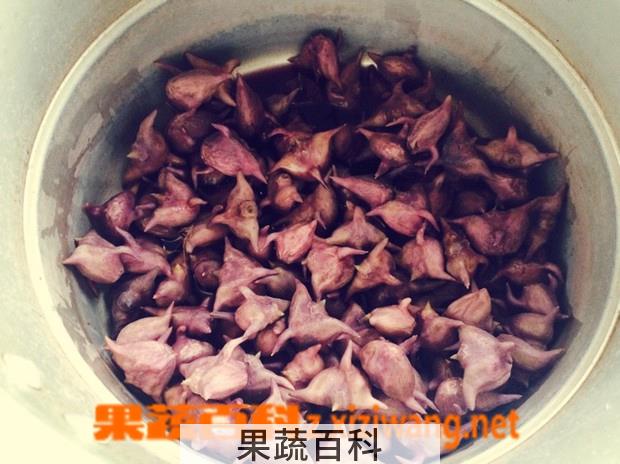 果蔬百科菱角怎么煮 菱角的做法