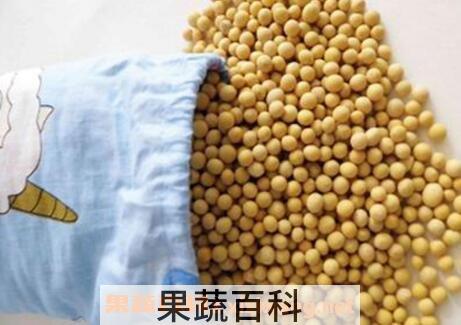 黄豆枕头的功效与作用