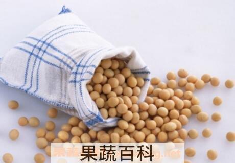 黄豆枕头的功效与作用