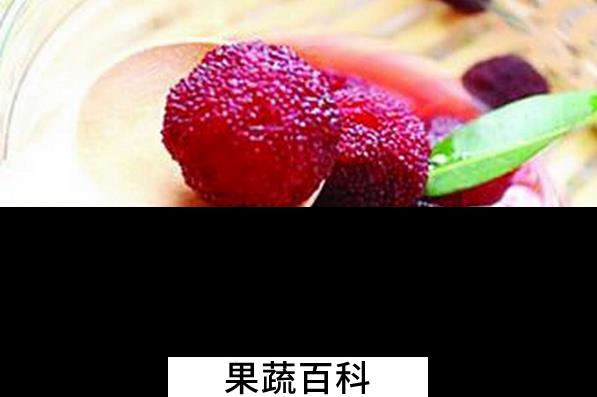 果蔬百科腌杨梅的做法