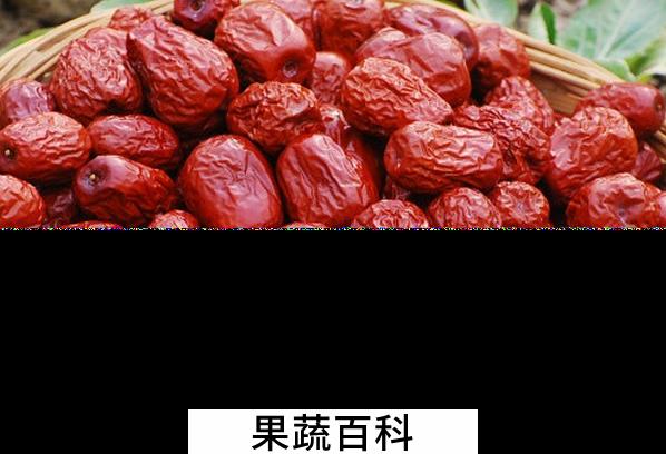 果蔬百科干枣的功效与作用