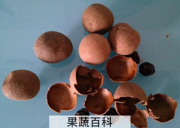 果蔬百科龙眼壳的功效与作用