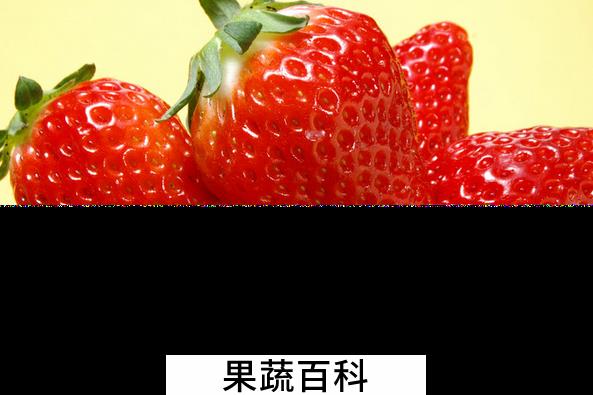 果蔬百科吃草莓的好处有哪些