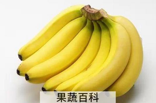 果蔬百科吃什么水果减肥快