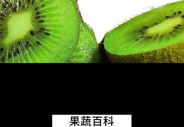 果蔬百科孕妇能吃猕猴桃吗
