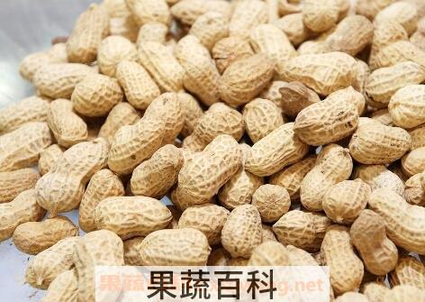 花生如何去皮 花生去皮的小妙招