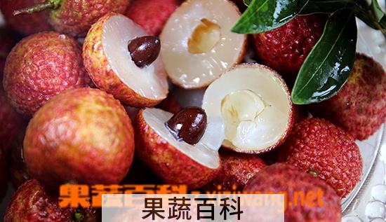 果蔬百科荔枝核的功效与作用
