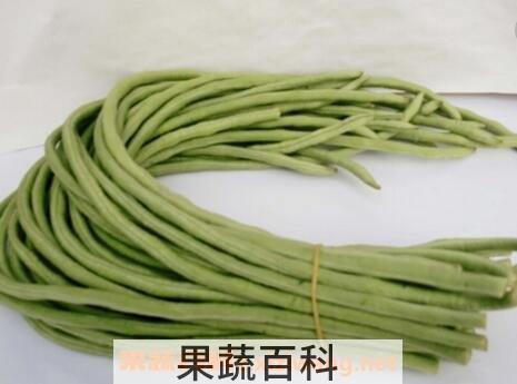 缸豆和豇豆有什么区别