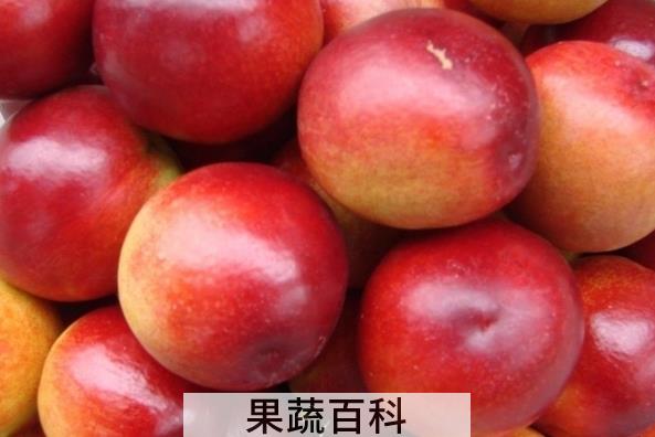 果蔬百科吃油桃的好处与坏处