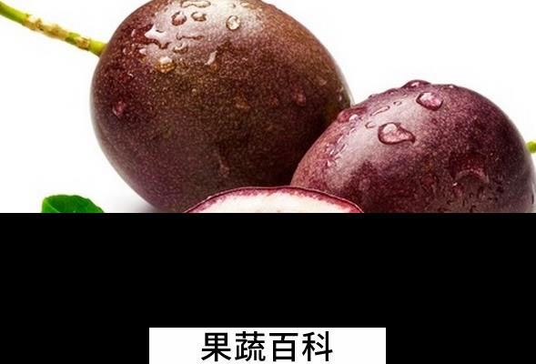 果蔬百科西番莲是什么