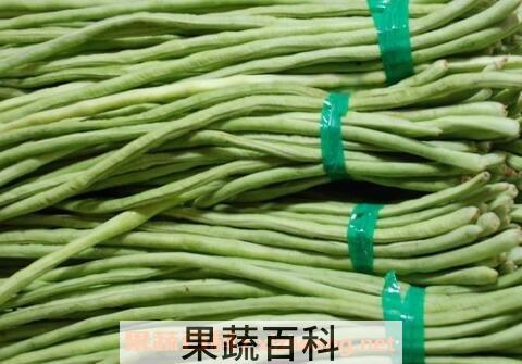 豇豆和豆角的区别