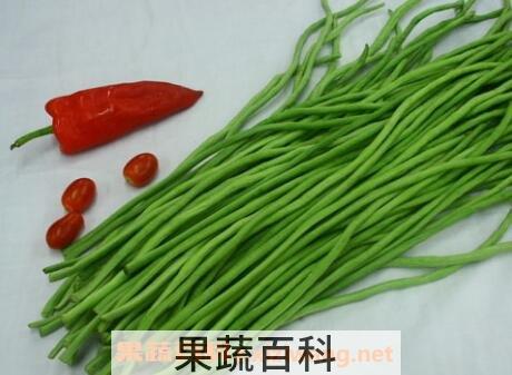 豇豆和豆角的区别