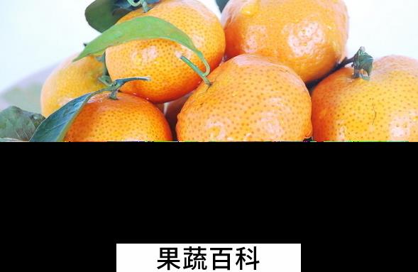 果蔬百科桔子的药用功效有哪些