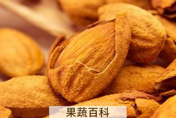 果蔬百科巴旦木不能和什么一起吃