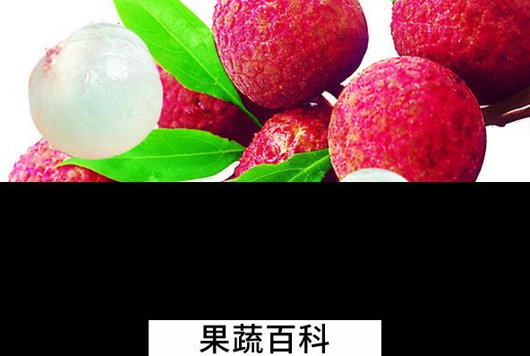 果蔬百科 吃荔枝会发胖吗