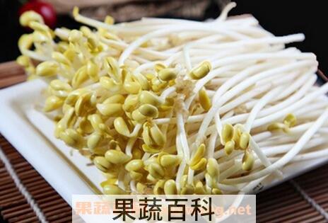 黄豆芽的营养价值 吃黄豆芽的好处