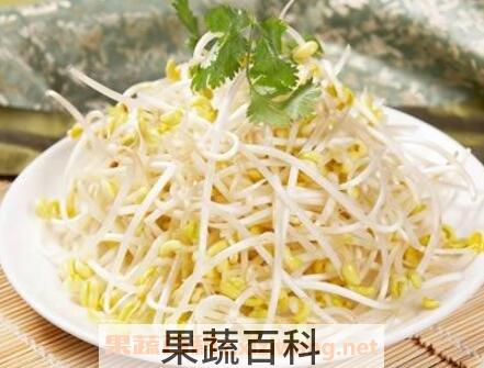 黄豆芽的营养价值 吃黄豆芽的好处