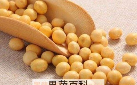黑豆和黄豆不能和什么一起吃 黄豆不能和什么一起吃 食物相克表
