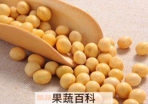 黄豆不能和什么一起吃