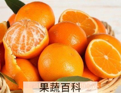 果蔬百科橘子核的功效与作用