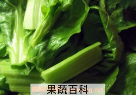 莙达菜的功效与作用