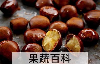 果蔬百科栗子的功效与作用