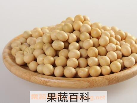 圆黄豆和扁黄豆的区别