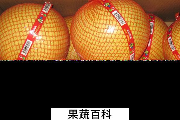 果蔬百科蜜柚的功效与作用