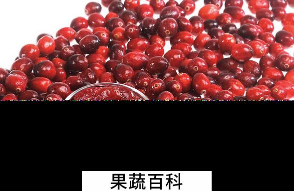 果蔬百科蔓越莓的营养价值与功效