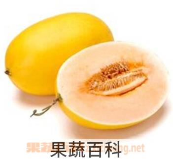 果蔬百科伊丽莎白瓜的功效与作用