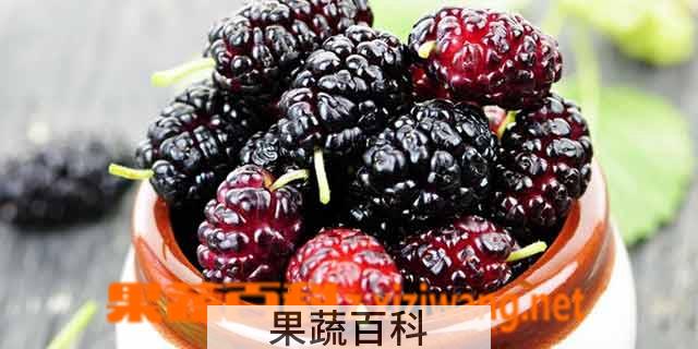 果蔬百科女人吃桑葚的好处