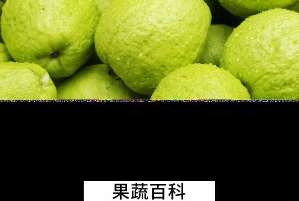 果蔬百科芭乐是什么