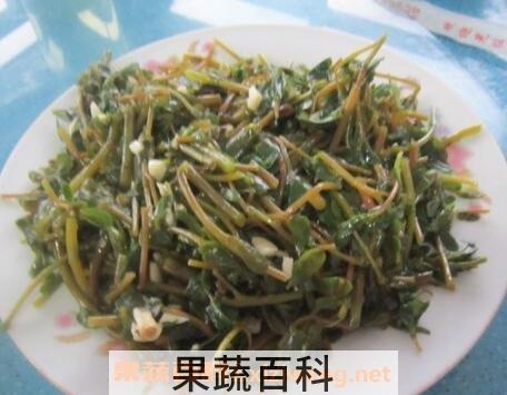 马子菜的功效与作用