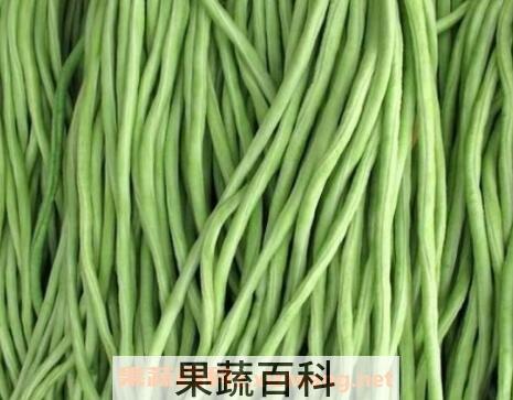 长豇豆的功效与作用