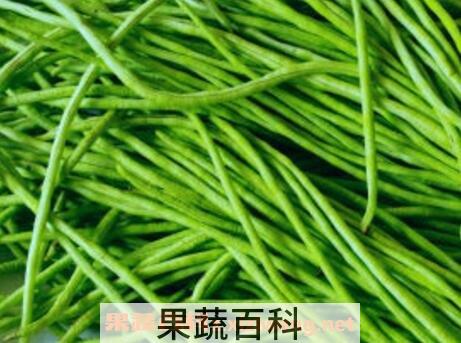 长豇豆的功效与作用