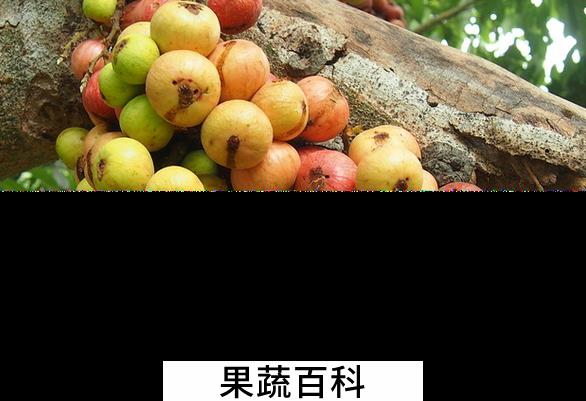 果蔬百科无花果怎么吃好