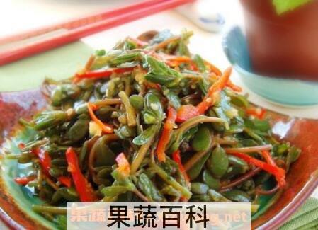 麻齿菜的功效与作用