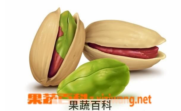 果蔬百科开心果的功效与作用