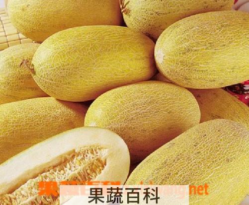 果蔬百科哈密瓜的功效与作用