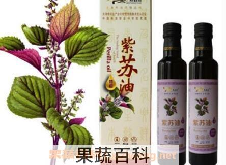 紫苏菜籽油的功效与作用