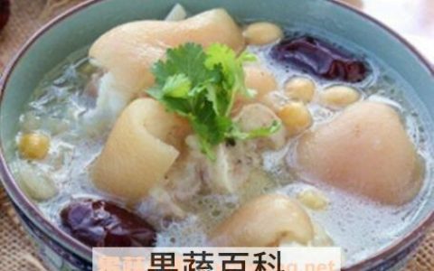 猪蹄炖黄豆真的能下奶 猪蹄炖黄豆能下奶吗?